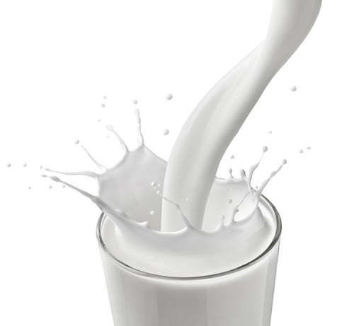 Sữa là một trong những thực phẩm giàu chất béo
